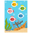 trace the dotted lines in the shape of ovals fish vector image