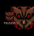 owl head character mascot logo vector image