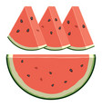 watermelon slices vector image vector image