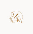 bm initial wedding monogram logo vector image