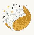cute little bear sleeping on crescent moon vector image