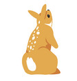 rabbit with soft fur wild hare or bunny character vector image vector image