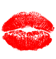 red kiss print vector image vector image