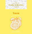 fruits and berries pattern label template vector image