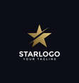 luxury abstract gold star logo design template vector image vector image