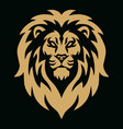 gold lion head golden logo mascot vector image vector image