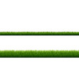 green grass border with isolated white background vector image vector image