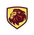 lion head logo shield template vector image vector image