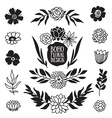 boho black decorative plants and flowers vector image