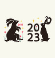 new year 2023 set with black rabbits flowers vector image vector image
