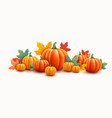 thanksgiving or halloween pumpkins background vector image