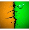 leaf with crack vector image vector image
