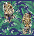 cheetah and leopards palm leaves tropic vector image vector image