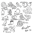 fruit icon set vector image
