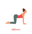 women silhouette cow yoga pose bitilasana vector image