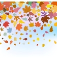 autumn leaves vector image