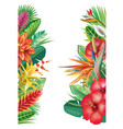 banner from tropical plants vector image vector image