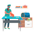 veterinarian woman treats a red cat vector image
