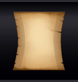 ancient parchment old papyrus craft paper vector image vector image
