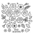 graphic floral collection vector image