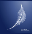 white fluffy feather quill on pink background vector image