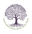 tree silhouette wits roots on white vector image