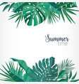 square backdrop or background with green palm vector image