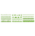 cartoon grass leaves tuft of green meadow vector image