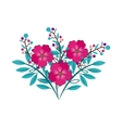 foliage of beautiful flowers design vector image