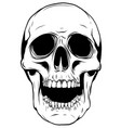 outline graphics skull vector image