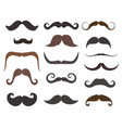 men mustache styles icons vector image
