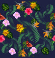 seamless tropical pattern with palm monstera vector image