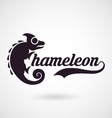 chameleon vector image