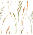 wild field grass pattern vector image