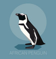 flat african penguin vector image vector image