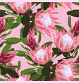 beautiful seamless pattern tropical protea flow vector image vector image