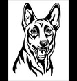 belgian shepherd black contour portrait vector image vector image