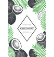 coconut with palm leaves design template hand vector image
