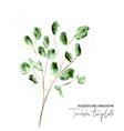 set hand-drawn floral elements modern green vector image vector image
