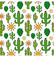 cactus seamless pattern vector image