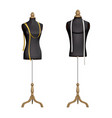 body mannequins realistic set vector image vector image