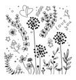 black silhouettes of grass flowers herbs vector image vector image