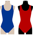 swimwear vector image