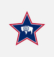 wyoming usa star flag vector image vector image