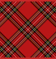 year tartan pattern scottish cage vector image