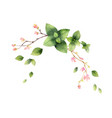 watercolor hand painting vector image vector image