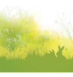 rabbits grass background vector image vector image