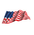 usa flag vector image