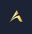 triangle abstract gold logo vector image vector image