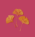 ginkgo biloba leaves vector image vector image